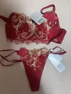 サルート70グループ ビバラインブラ D65レッド Tバック Mサイズ