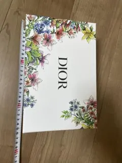 디올 빈 박스