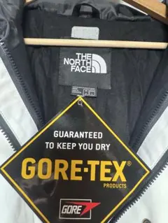 激レア？THE NORTH FACE GORE-TEX マウンテンパーカー