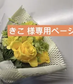 きこ 様専用ページ