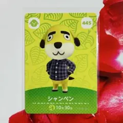 どうぶつの森 アミーボカード シャンペン