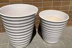 TJ 植木鉢 陶器 ホワイト 波状レリーフ 2鉢セット 胡蝶蘭