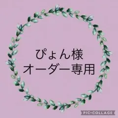 ぴょん様　オーダー専用