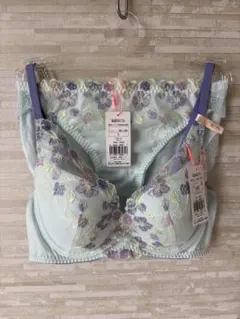 B75L」トリンプ 夢みるブラ DeepV フレーバーウォーター ブラショーツ