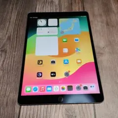 83 【早い者勝ち】 iPad mini5 5世代 256GB スペースグレイ - メルカリ