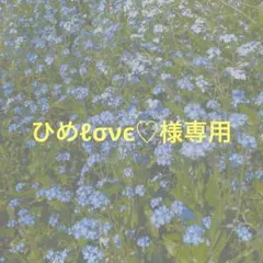 ひめℓσνє♡様専用