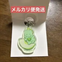 サンエックス　カイジュウパラダイス　マーカーチャーム メルカリ便発送のサムネイル