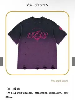 浦島坂田船 TA13OOダメージTシャツ