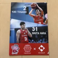 ファイルA4サイズ