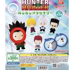 HUNTER×HUNTER めじるしアクセサリー ゴン