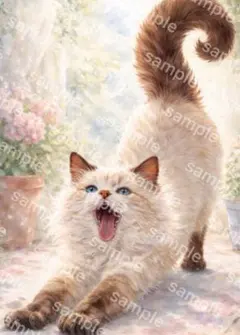 【水彩画アート】花庭の猫ストレッチ 2L版写真用紙