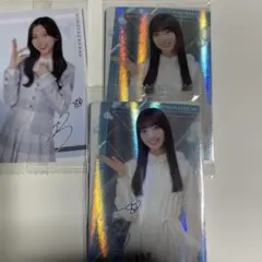 Item thumbnail for item e8755f0a-1a0b-4403-b061-33b26a5c4681