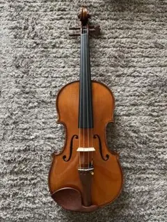 更に大幅値引き！Gliga Gems ヴァイオリン(4/4)＋セミハードケース 2025年最新】GLIGA バイオリンの人気アイテム - メルカリ