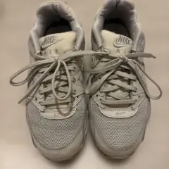 Nike Air Max グレー スニーカー