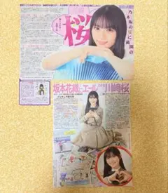 Item thumbnail for item 7481f0f9-edfc-41df-be74-81bdf5300b1c