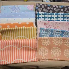 ハギレ☆11枚セット(25×50)
