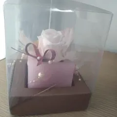 오늘만 가장 저렴한 ☆ 가격 인하