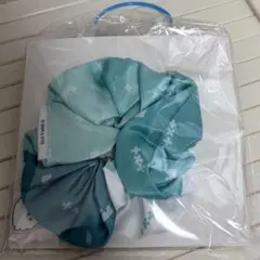 TXT gigo プルバトゥ ヨンモン シュシュ