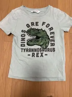 恐竜プリントTシャツ（ライトグリーン）