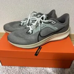 Nike Pegasus 40 ランニングシューズ グレー/ミント