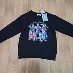 Item thumbnail for item 0e775663-014c-46a9-9598-16d1265f6116