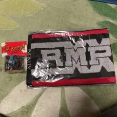 TheRAMPAGE LIVE TOUR2020