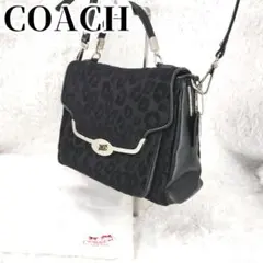 極美品✨️ COACH レオパード柄 2wayバッグ　豹柄　　ラメ　レザー
