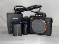 2025年最新】sony α7riiiの人気アイテム - メルカリ