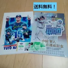 2026年最新】東京ヤクルトスワローズクリアファイルの人気アイテム