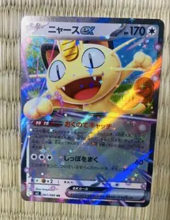 ニャースEXカードとポケパッド3枚セット