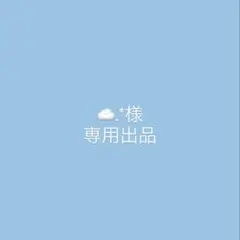 ☁.*様　専用出品