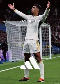 Item thumbnail for item fdea2357-b8e0-489a-bc48-ff59df8f85dc