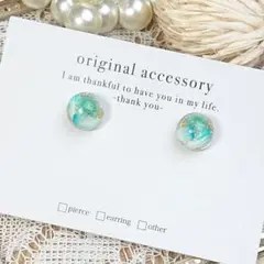 #3856/ハンドメイド♡押し花ドライフラワーレジンピアス