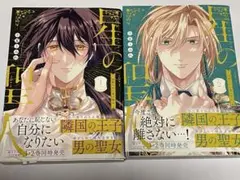 星の聖人 ボーイズラブ