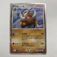 2026年最新】マンムーLV58の人気アイテム - メルカリ