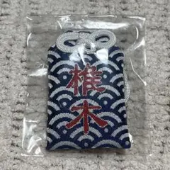 うたたたね 様 専用 椎木知仁 弾き語り お守り