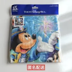 東京ディズニーリゾート TDR TDS ウォッシュタオル 15周年