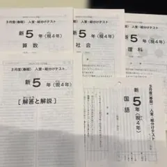 ㉒た 重要❣️サピックス SAPIX 5年 算数基礎力定着テスト② 一年分