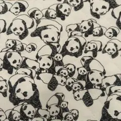 キルティング生地　はぎれ　パンダ柄