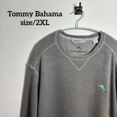 tommy bahama