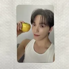 SEVENTEEN ディノ　17 is right here carat盤