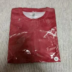 非売品　ノーザンホースパークマラソン記念TシャツMサイズのサムネイル