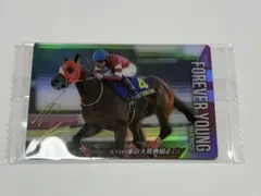 2026年最新】坂井瑠星トレカの人気アイテム - メルカリ