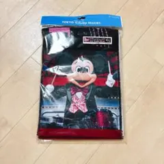 ディズニーシー　ミッキー　実写　BBB タオル