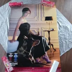 Item thumbnail for item f345d5e5-8685-47f6-b73a-a3df80b27b8d