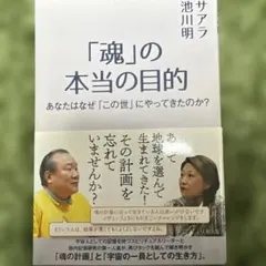 Item thumbnail for item 563156a2-ce31-44c2-a128-ccfb34638d43