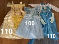 Item thumbnail for item 954bc760-01dd-495b-a2ce-64bdc85bc7f2