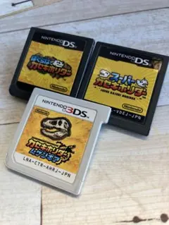 DS 3DS カセキホリダー　3本セット