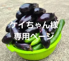 ケイちゃん様専用ページ