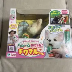 Item thumbnail for item 094ca0f6-82f4-4fbb-a297-48875fa0bc90